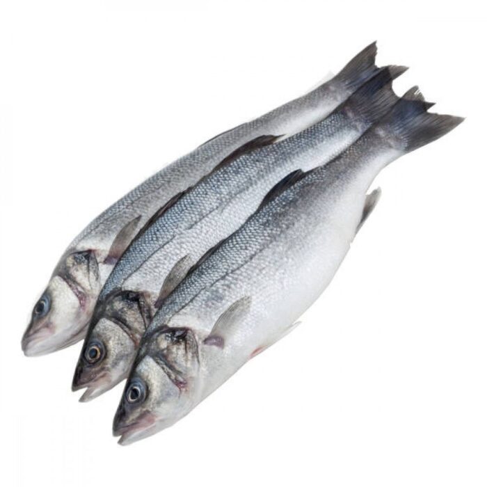 seabass (turkey)